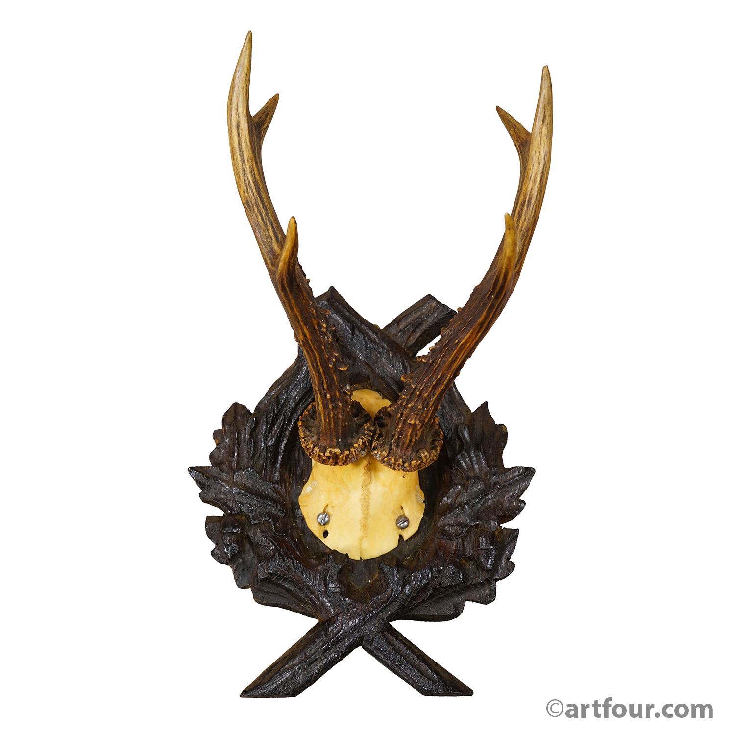 Antique Red Deer Trophy on Carved Plaque, Black Forest, Germany 1900