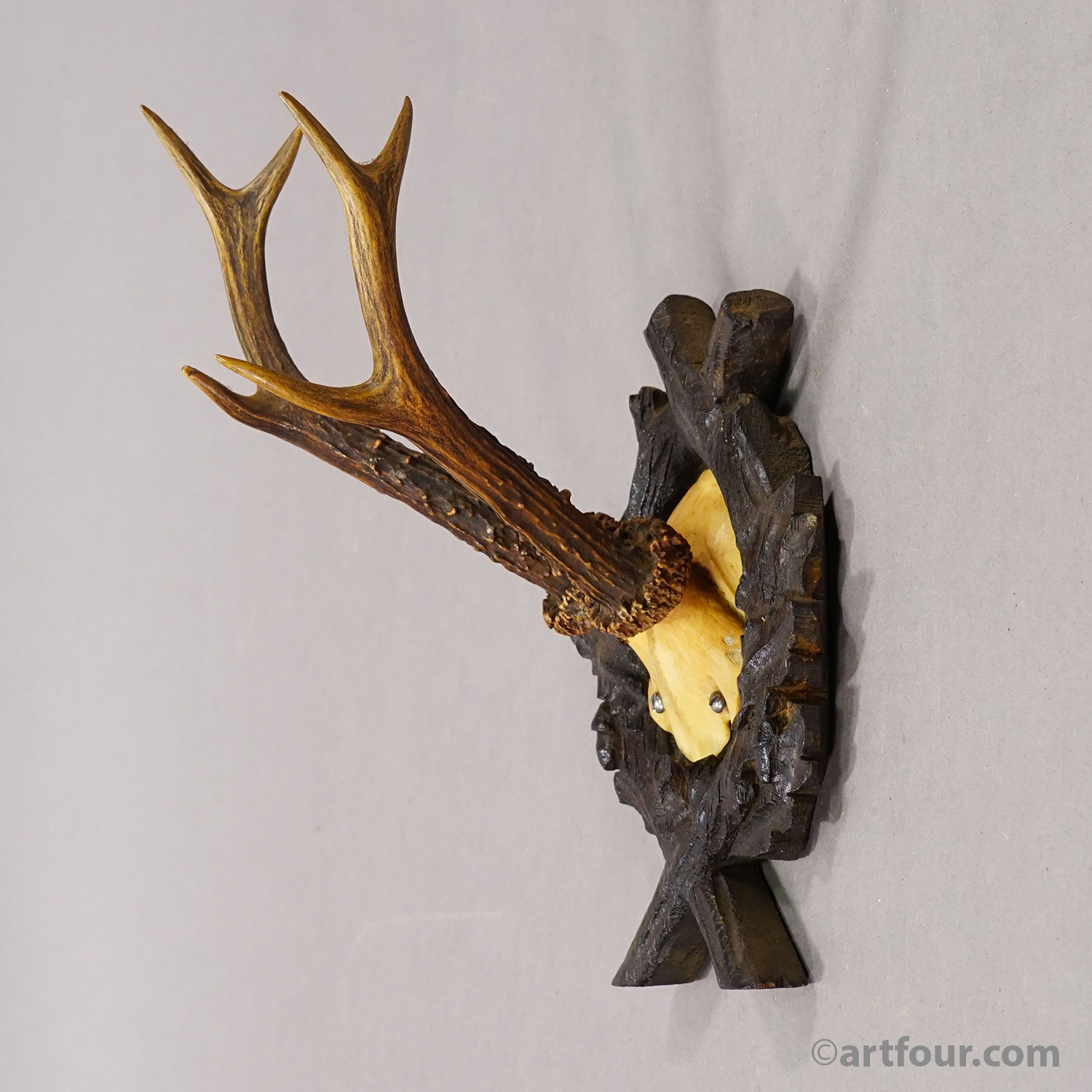 Antique Red Deer Trophy on Carved Plaque, Black Forest, Germany 1900