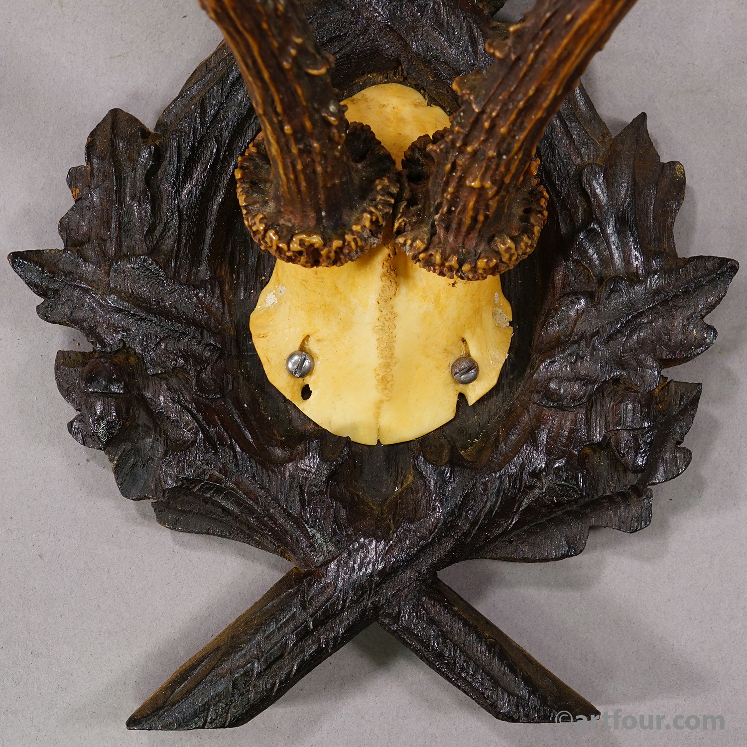 Antique Red Deer Trophy on Carved Plaque, Black Forest, Germany 1900