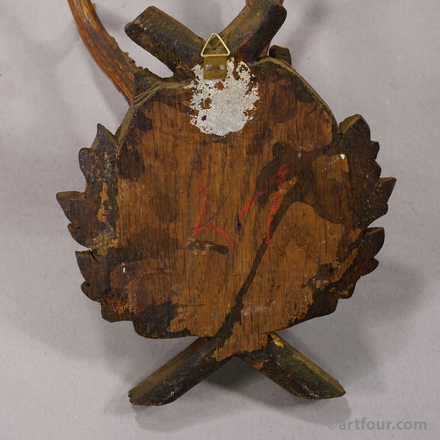 Antique Red Deer Trophy on Carved Plaque, Black Forest, Germany 1900