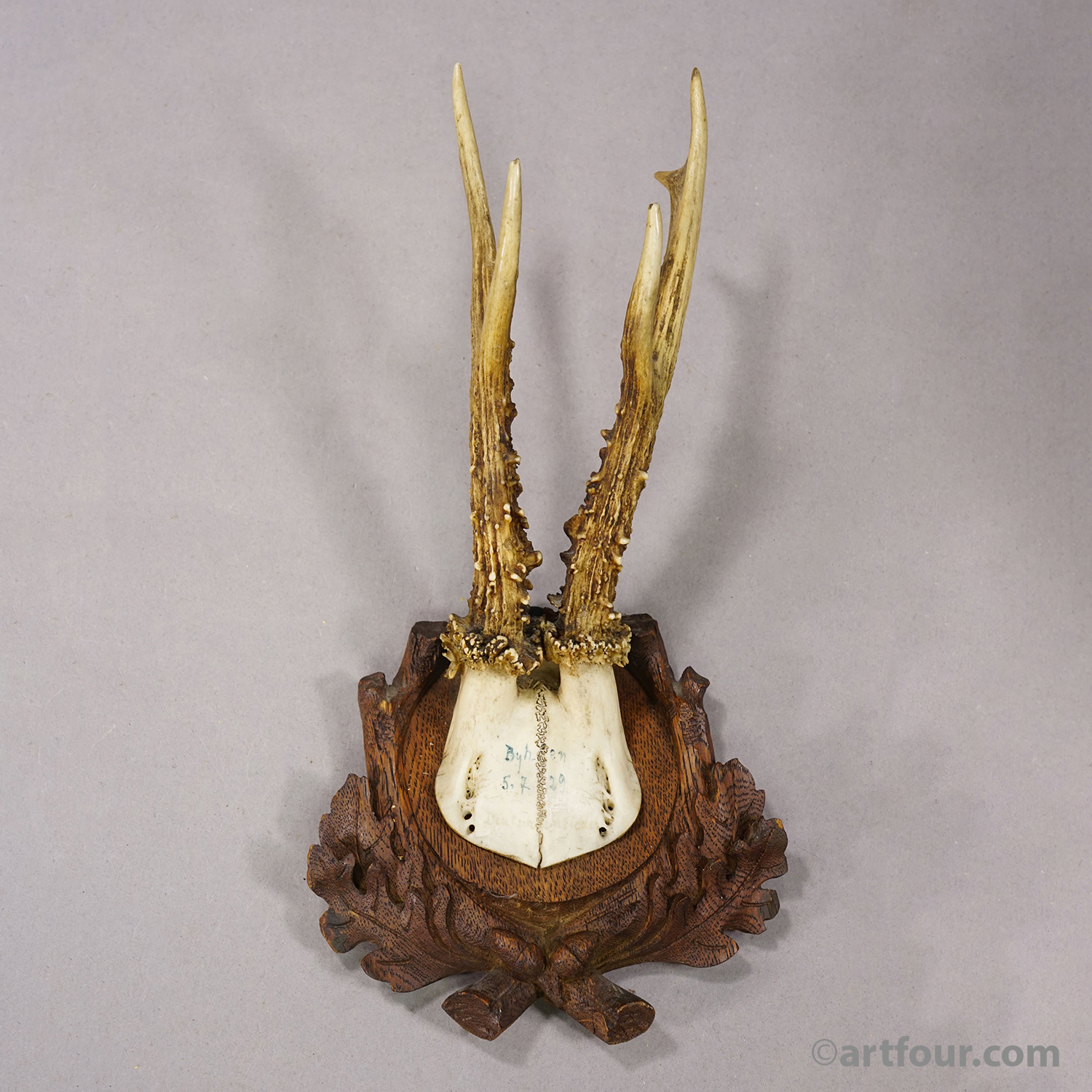 Antique Black Forest Red Deer Trophy on Carved Plaque, Germany 1929