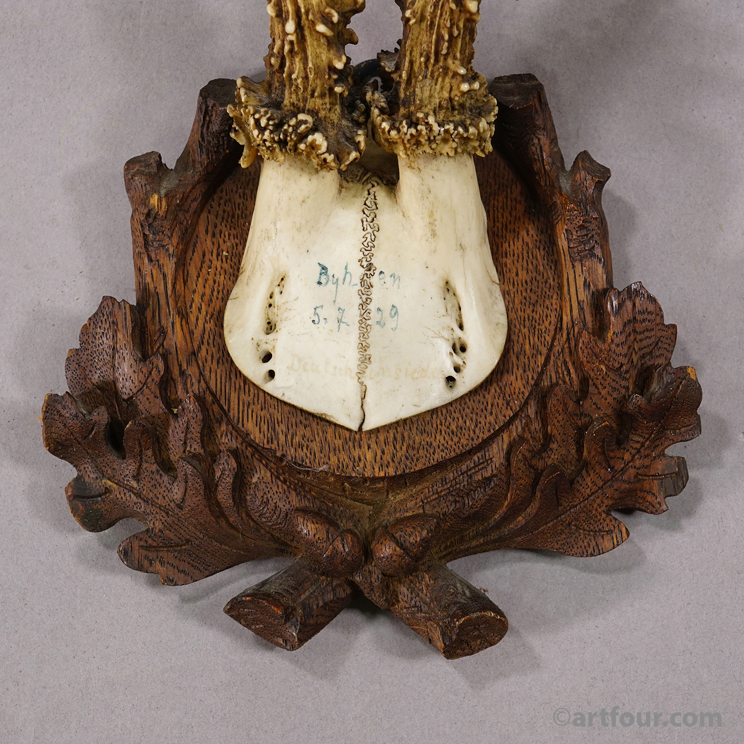 Antique Black Forest Red Deer Trophy on Carved Plaque, Germany 1929