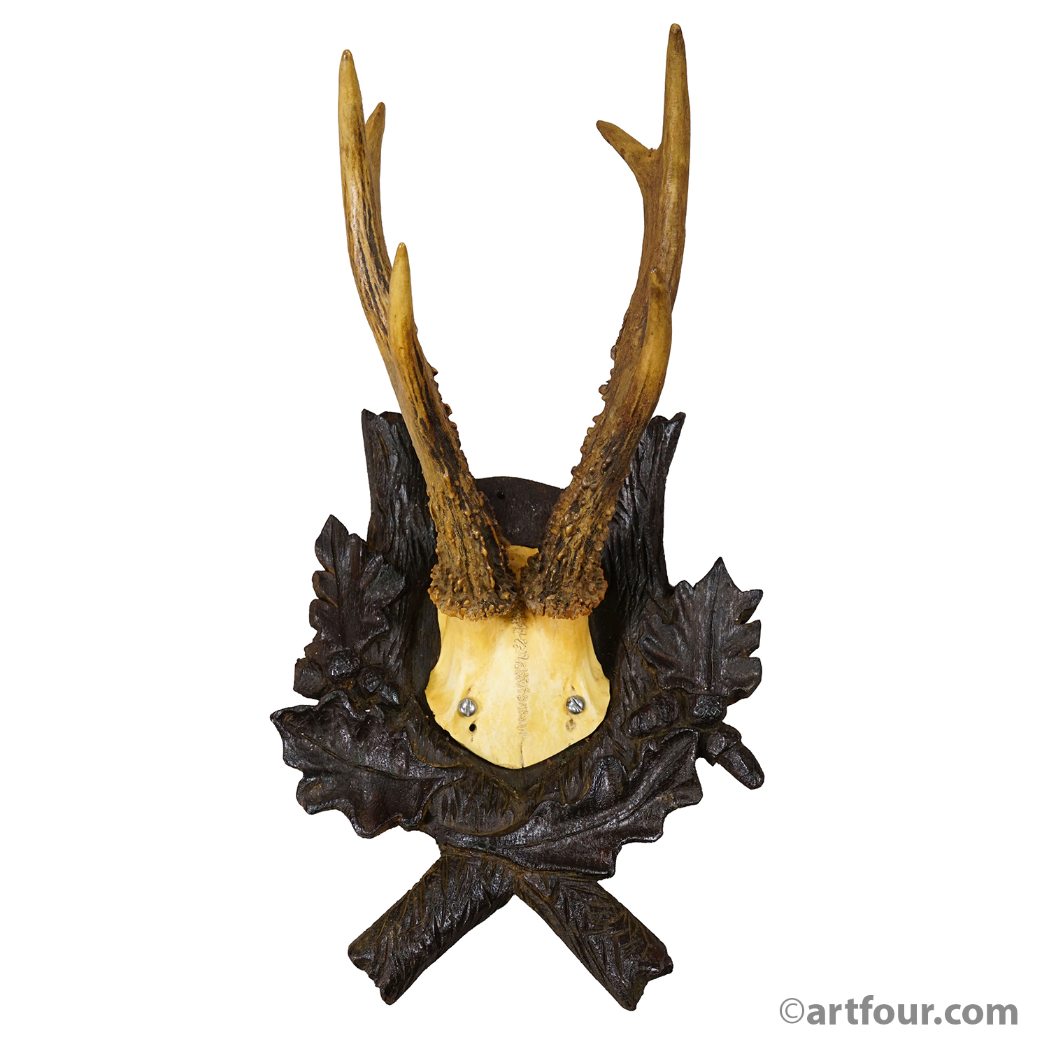 Antique Red Deer Trophy on Carved Plaque, Black Forest, Germany 1900