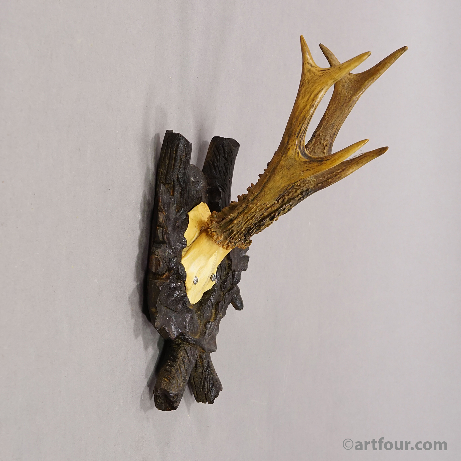 Antique Red Deer Trophy on Carved Plaque, Black Forest, Germany 1900