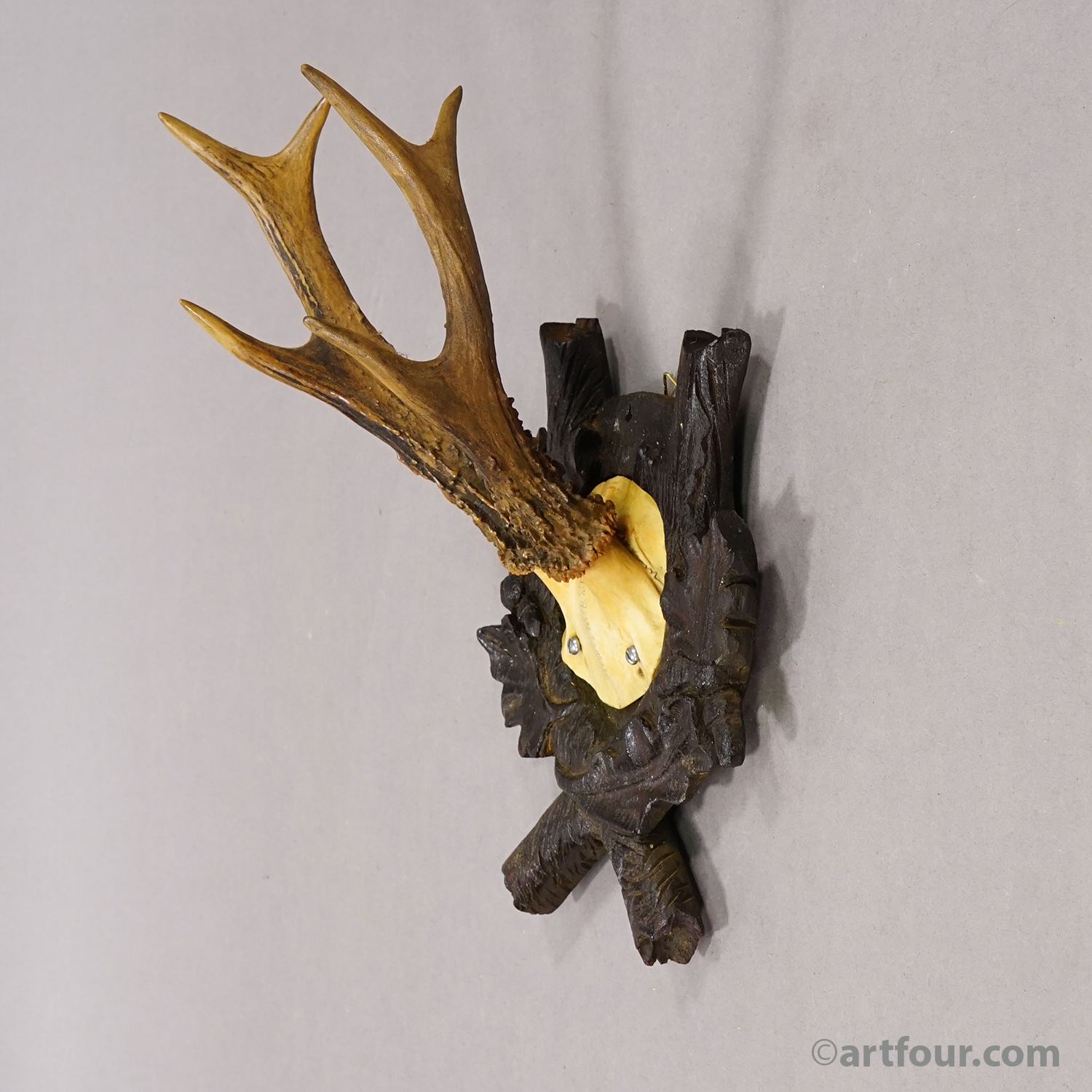 Antique Red Deer Trophy on Carved Plaque, Black Forest, Germany 1900
