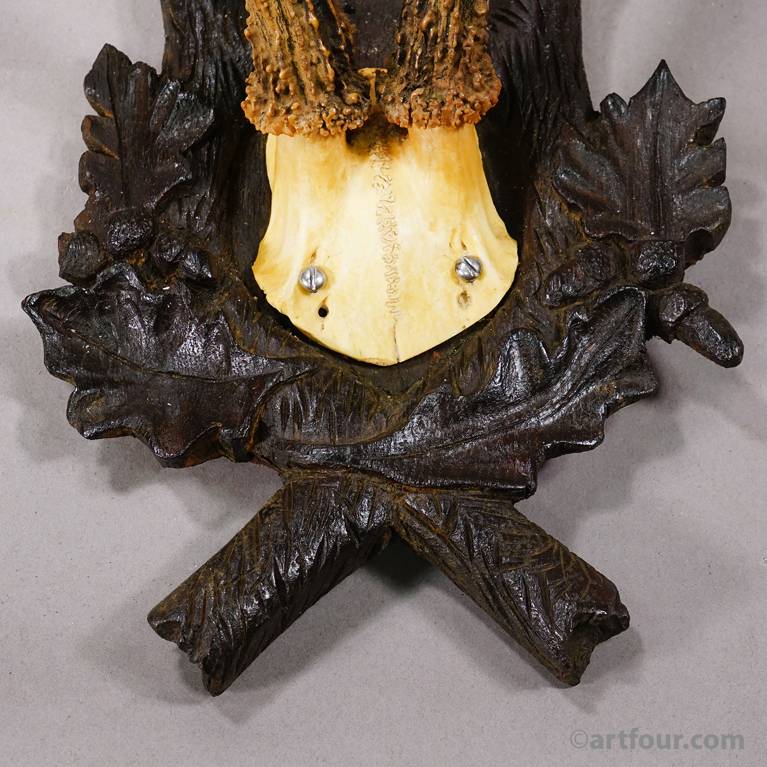 Antique Red Deer Trophy on Carved Plaque, Black Forest, Germany 1900