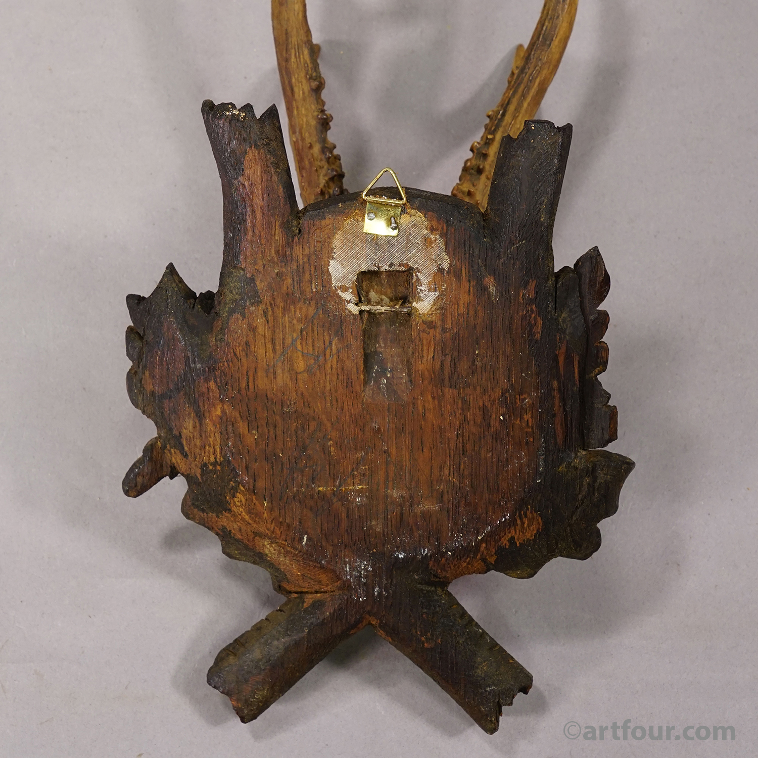 Antique Red Deer Trophy on Carved Plaque, Black Forest, Germany 1900