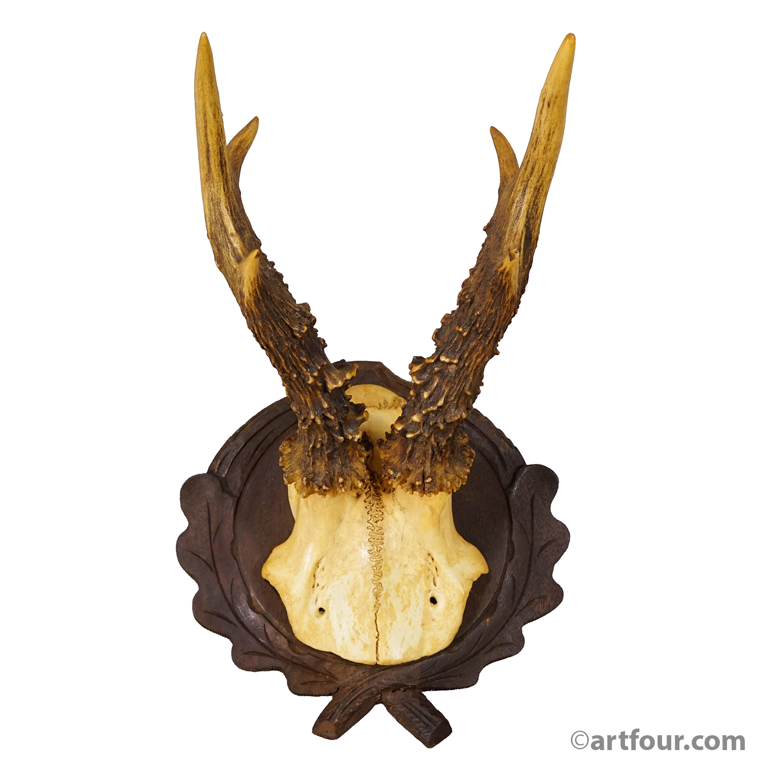 Antique Red Deer Trophy on Carved Plaque, Black Forest, Germany ca.1935