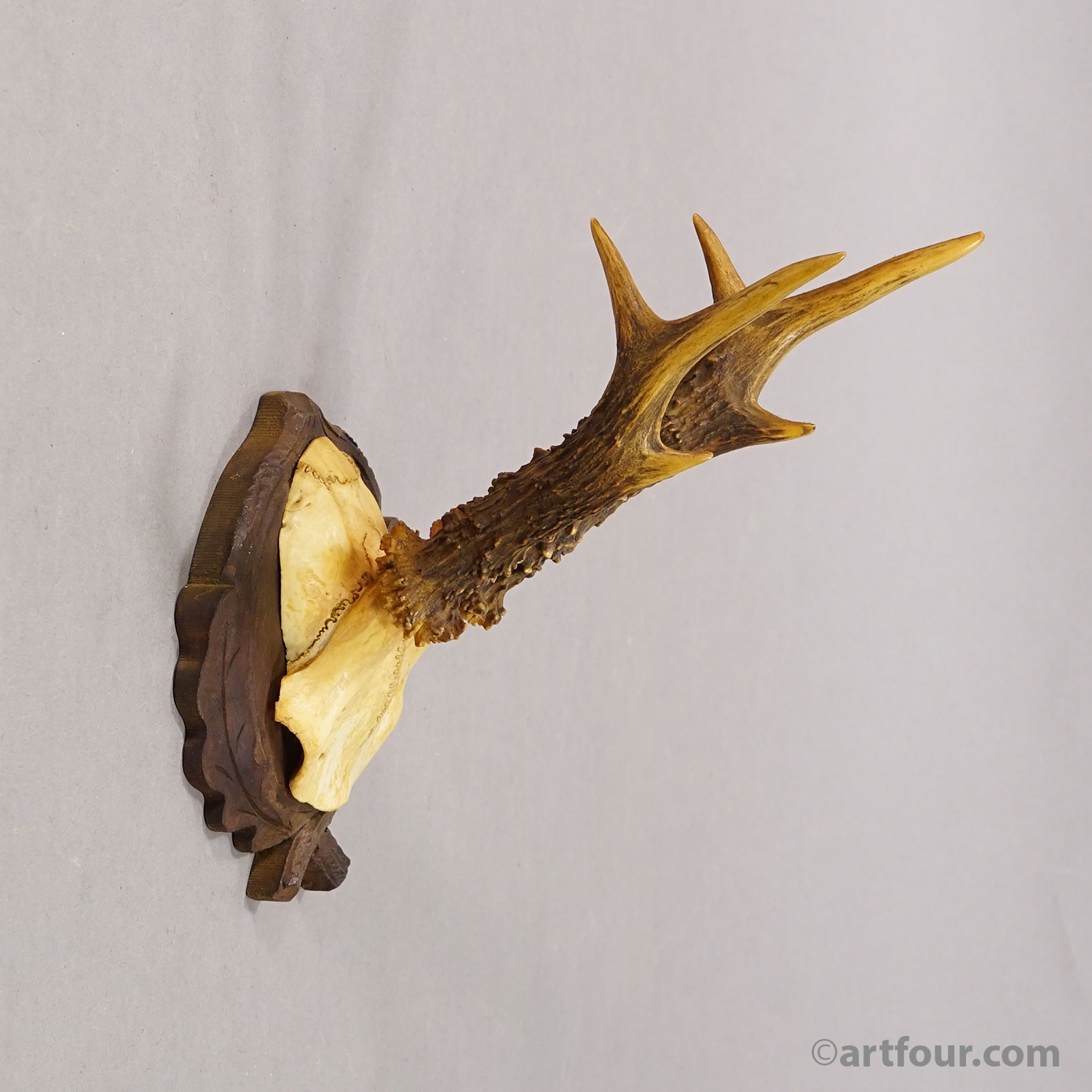 Antique Red Deer Trophy on Carved Plaque, Black Forest, Germany ca.1935