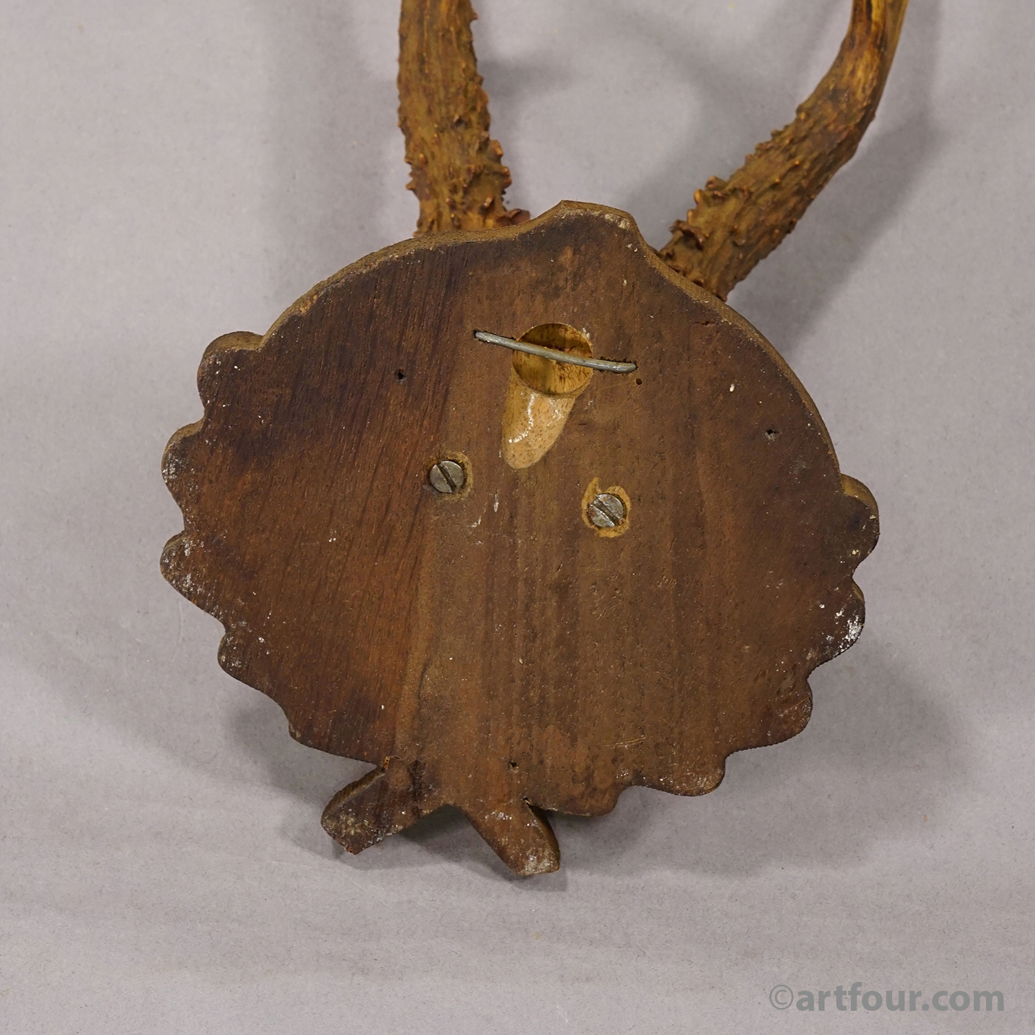 Antique Red Deer Trophy on Carved Plaque, Black Forest, Germany ca.1935