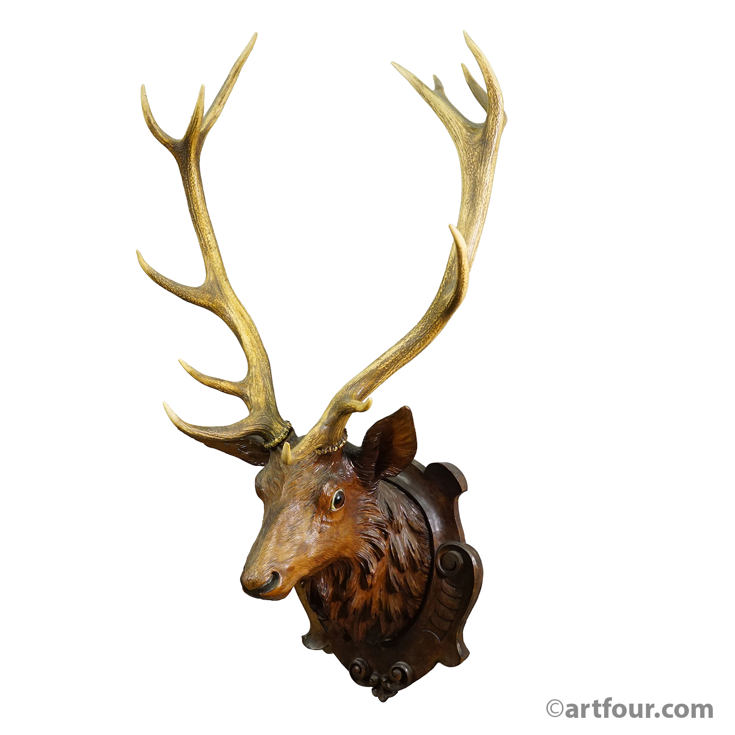 Antique Large Naturalistic Black Forest Carved Deer Head, ca. 1930s