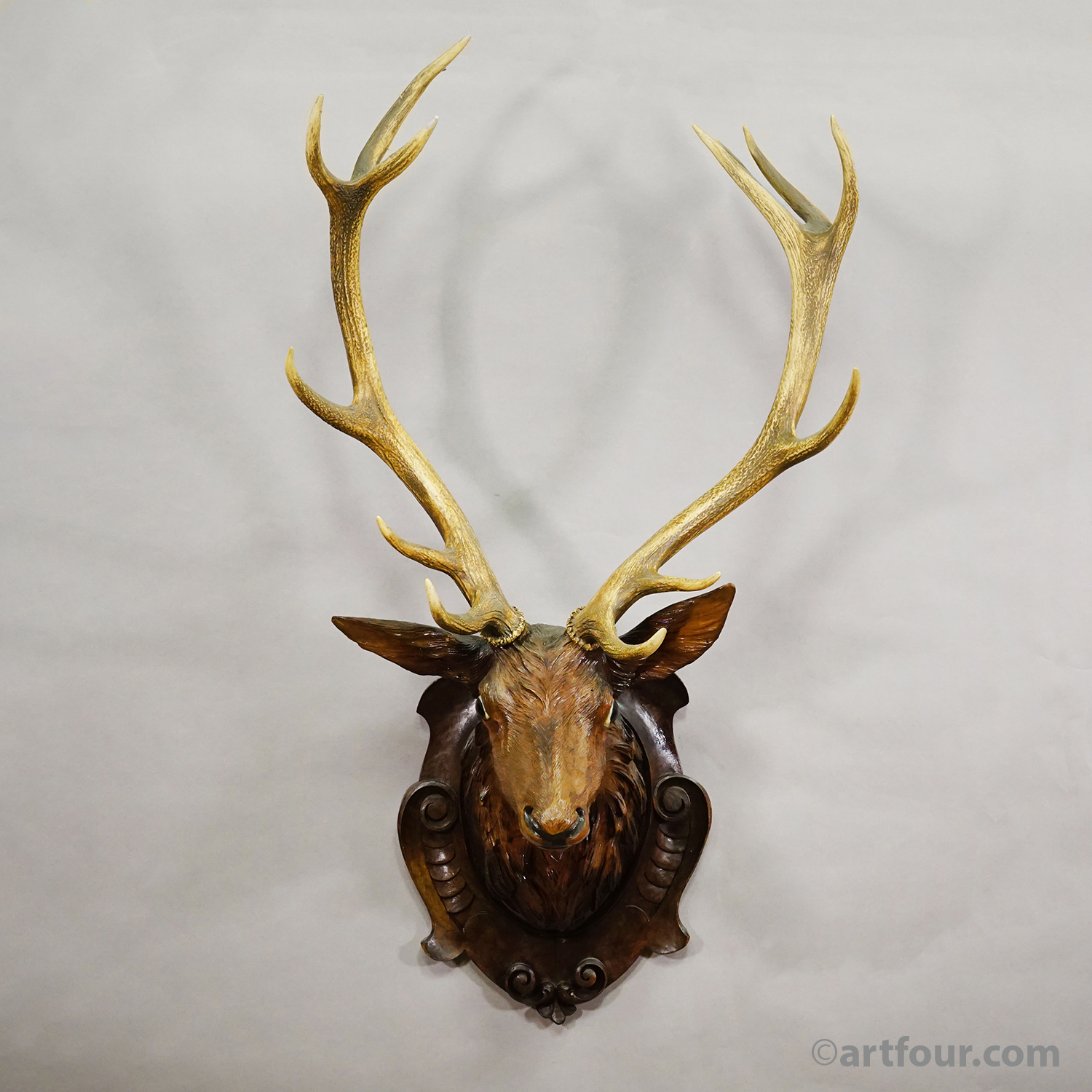 Antique Large Naturalistic Black Forest Carved Deer Head, ca. 1930s