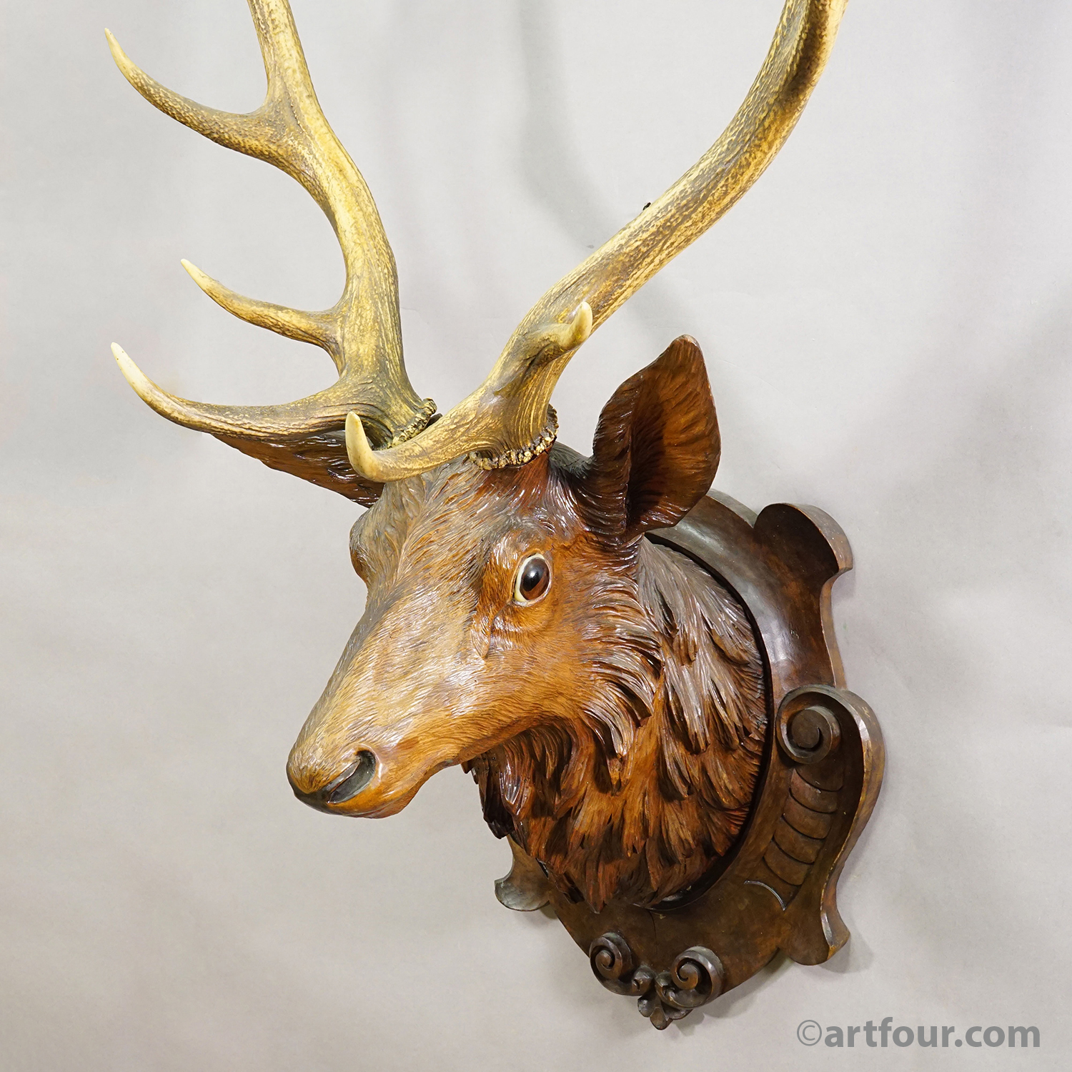 Antique Large Naturalistic Black Forest Carved Deer Head, ca. 1930s