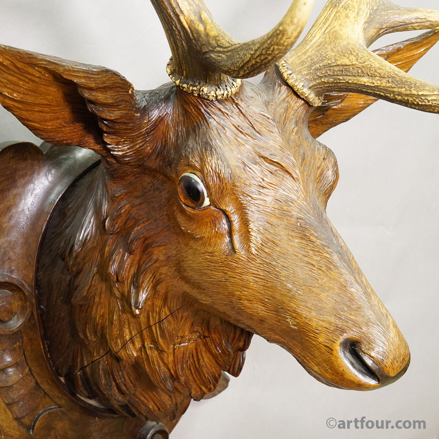 Antique Large Naturalistic Black Forest Carved Deer Head, ca. 1930s
