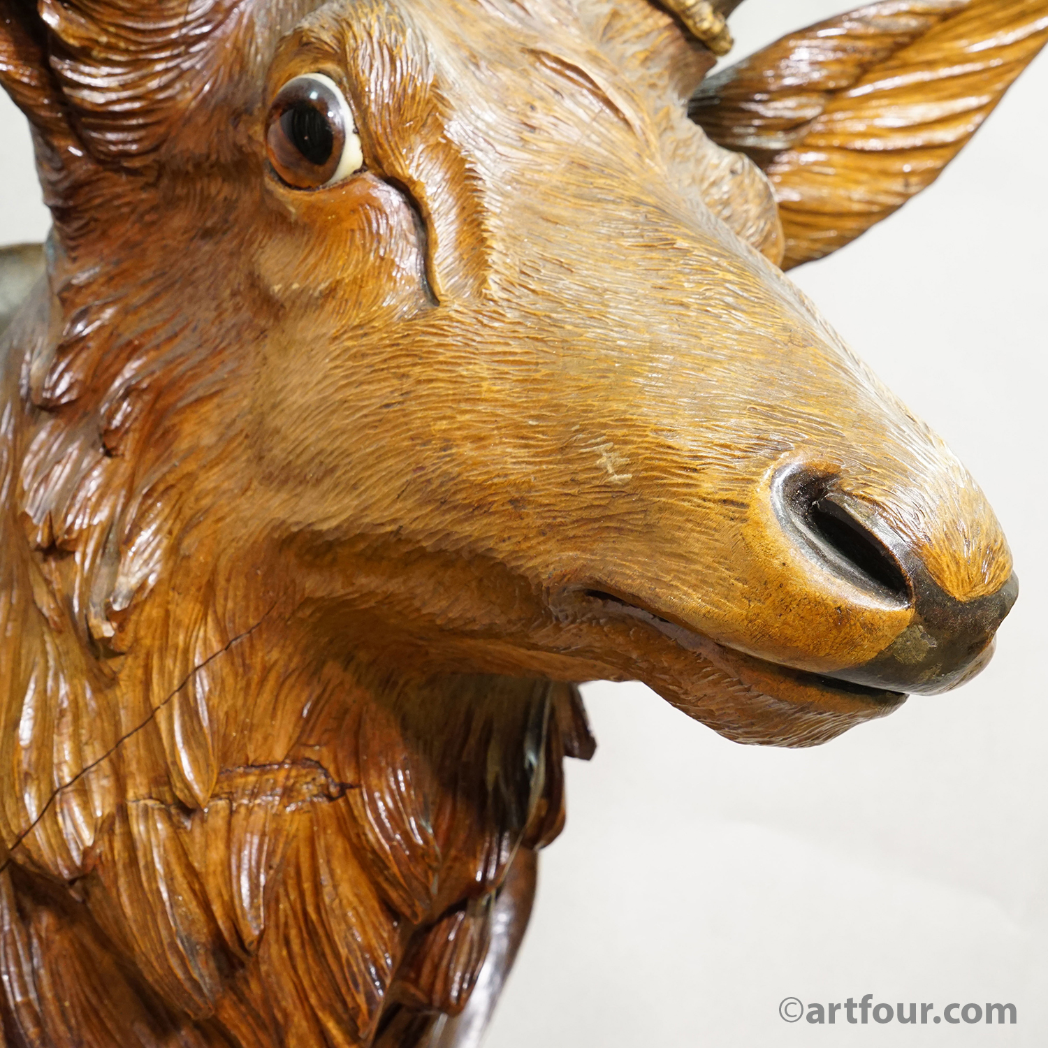Antique Large Naturalistic Black Forest Carved Deer Head, ca. 1930s