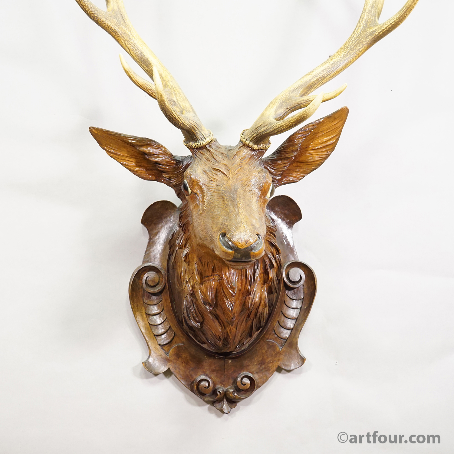 Antique Large Naturalistic Black Forest Carved Deer Head, ca. 1930s