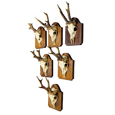 image of Six Antique Black Forest Deer Trophies on Wooden Plaques ca. 1900