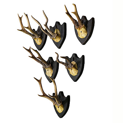 image of Six Antique Black Forest Deer Trophies on Plaques, Germany 1870s