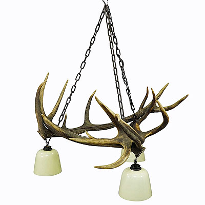 image of Rustic Antler Lamp with Deer Antlers