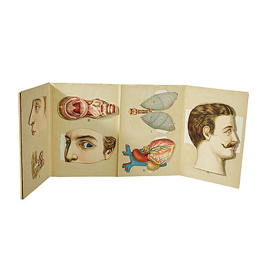 image of Antique Foldable Anatomical Brochure Depicting Human Anatomy