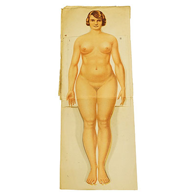 Antique Foldable Anatomical Brochure Depicting Female Anatomy.
