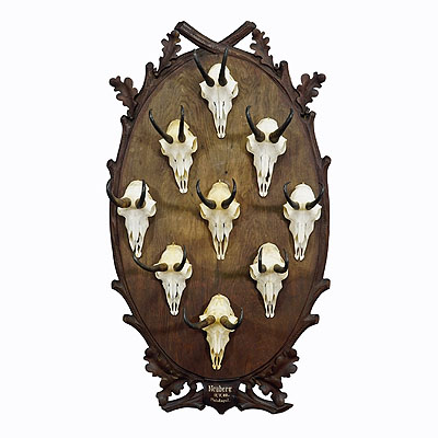 Large Wooden Carved Plaque with Chamois Trophies, Germany 1900.