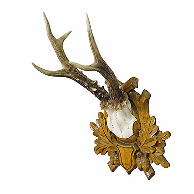 Black Forest Vintage Roe Deer Trophy on Carved Plaque.
