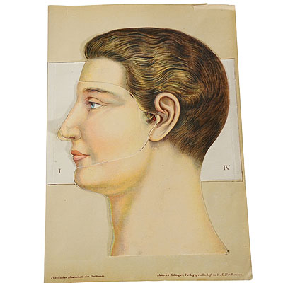 1900s Foldable Anatomical Brochure Depicting the Human Head.