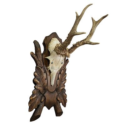 Vintage Red Deer Trophy on Large Carved Plaque, Germany.