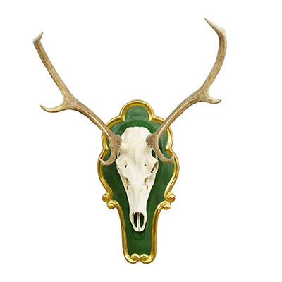 Large 8 Pointer Red Deer Trophy on Wooden Plaque.