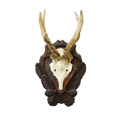 Antique Black Forest Red Deer Trophy on Carved Plaque ca. 1930s.