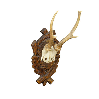 Antique Black Forest Red Deer Trophy on Carved Plaque ca. 1930s.