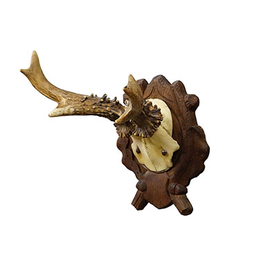Antique Black Forest Red Deer Trophy on Carved Plaque, Germany 1938.