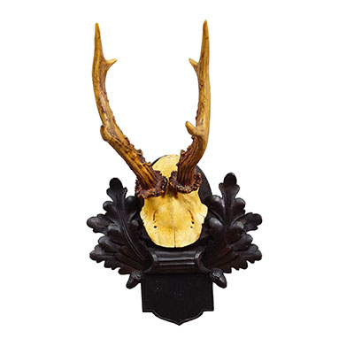 Antique Black Forest Red Deer Trophy on Carved Plaque, Germany 1900.