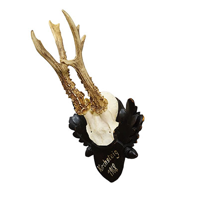 Vintage Black Forest Red Deer Trophy on Carved Plaque, Germany 1968.