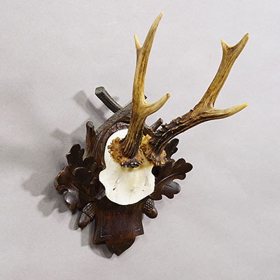 Antique Black Forest Red Deer Trophy on Carved Plaque, Germany ca. 1900.
