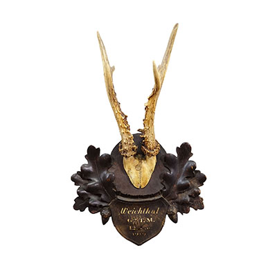 Antique Black Forest Red Deer Trophy on Carved Plaque, Austria 1919.