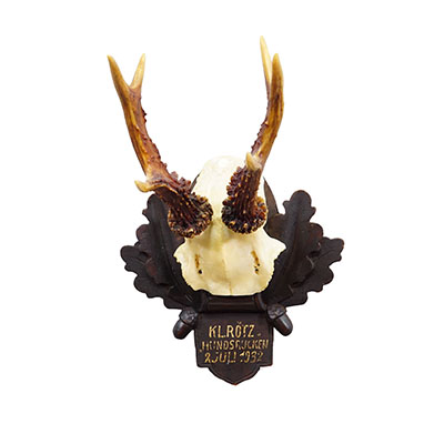 Antique Black Forest Red Deer Trophy on Carved Plaque - Germany 1932.