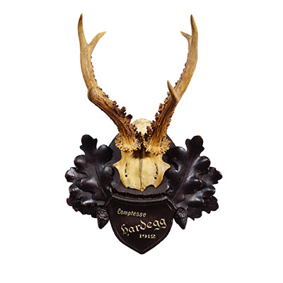 Antique Black Forest 6 Pointer Red Deer Trophy on Plaque - Germany 1912.