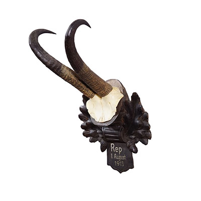 Antique Chamois Trophy on Carved Plaque, Germany 1913.