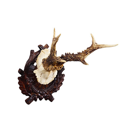 Antique Black Forest Red Deer Trophy on Carved Plaque - Germany ca. 1910.