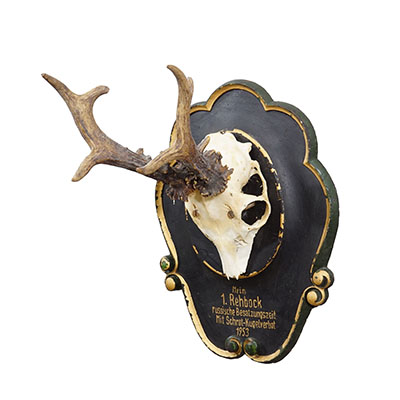 Vintage Black Forest Red Deer Trophy on Wooden Plaque - Germany 1953.