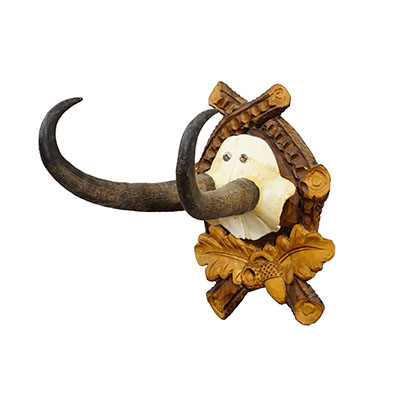 Vintage Chamois Trophy on Carved Plaque, Germany 1950s.