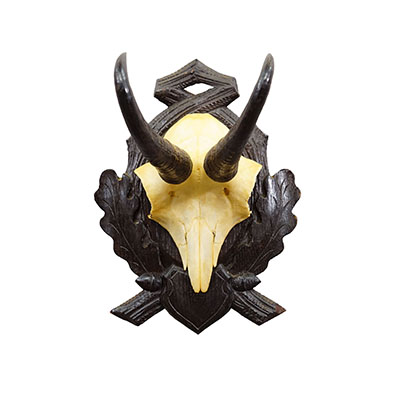 Antique Chamois Trophy on Carved Plaque, Germany ca. 1930s.