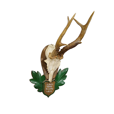 Great Black Forest Red Deer Trophy on Carved Plaque - Germany 1954.