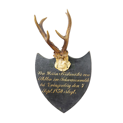 Antique Black Forest Red Deer Trophy on Black Plaque Germany 1830.