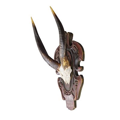 Antique Springbok Trophy on Wooden Carved Plaque, 1910.