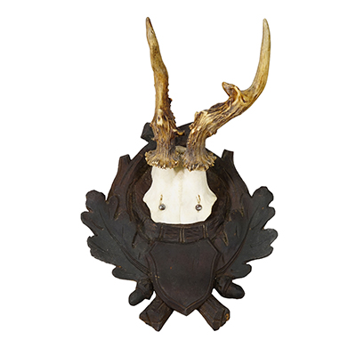 Antique Abnorm Red Deer Trophy on Carved Plaque, Black Forest Germany, ca. 1900.