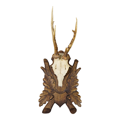 Antique Black Fores Red Deer Trophy on Carved Plaque, Germany, ca. 1920s.