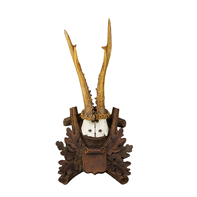 Black Forest 6 Pointer Red Deer Trophy on Carved Plaque Germany 1930s.